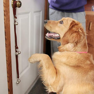 Campanas de cobre de longitud ajustable con cuero marrón, timbres de perro de cuero para Pomo de puerta Ideal para entrenamiento de orinal y señales al aire libre - Product Image 3