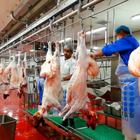 Chaîne d'abattage pour boîtier de mouton, équipement d'abattoir à chèvre, livraison gratuite