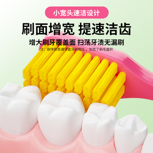 <span class=keywords><strong>Brosse</strong></span> à dents pour adultes à poils super doux et confortables, style européen et américain, best-seller, fabriquée en Chine - Product Image 5