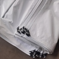 Bâche en PE enduite blanche, imperméable, résistante à la pluie, pour extérieur, jardin, abri pour plantes, bateau, voiture, camion