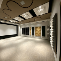 Système complet de diffuseur acoustique pour cinéma privé : Kit de diffusion d'ondes de qualité professionnelle (certifié CE)