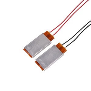 Pas cher Prix 220V 12V PTC Élément Chauffant pour Sèche-Cheveux Bigoudis Volaille Incubateur Chauffe- - Product Image 5