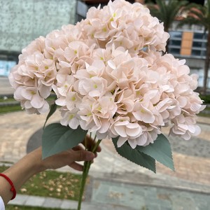 Hydrangea artificielle bleu clair à 5 têtes, hydrangea français, fleurs artificielles blanches pour mariage, décoration murale florale, vente directe d'usine - Product Image 2