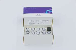 EQ007 20ul X 100rxn Mezcla de <span class=keywords><strong>PCR</strong></span> RT SYBR Green de un solo paso para investigación - Product Image 2
