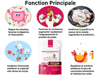Poudre Premium pour Poulets de Chair : Favorise la Croissance et les Performances – Complément Alimentaire pour Volailles
