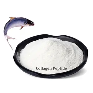 Polvere di collagene di pesce 1000 Dalton pesce peptid idrolizzato proteine di pesce marin collagene migliore polvere sbiancante al collagene
