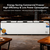 Freezer Horizontal Grosir untuk Medis, Kapasitas 700L, Bahan Stainless Steel 304, Freezer Komersial, Hemat Energi