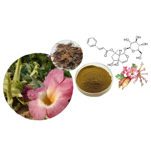 थोक थोक <span class=keywords><strong>Harpagophytum</strong></span> <span class=keywords><strong>Procumbens</strong></span> निकालने शैतान की बिक्री के लिए पंजा निकालने पाउडर - Product Image 5