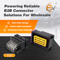 Connecteur ECU automobile noir 24 broches 211PC249S0005, fournisseur de Wenzhou