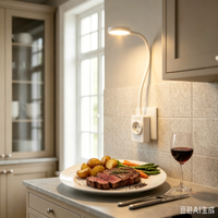 Lampe de lecture LED intelligente portable avec prise Euro, lumière murale de chevet flexible CCT à contrôle tactile progressif TYPE C pour hôtel