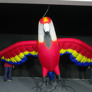 Modelli Gonfiabili Personalizzati di Pappagalli, Adatti per Eventi Commerciali, Mostre e Parate su Larga Scala - Product Image 1