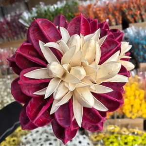 Flores Secas Hechas a Mano, Lantana <span class=keywords><strong>Camara</strong></span>, Decoración Rústica para Habitaciones, Cabeza de Flor Grande de 10 cm de Diámetro - Product Image 4