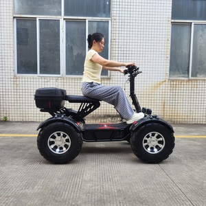 <span class=keywords><strong>Quad</strong></span> électrique haute puissance 10000W RY-S4 <span class=keywords><strong>60V</strong></span> 60Ah Batterie au lithium Quatre roues 55KMH <span class=keywords><strong>Quad</strong></span> tout-terrain pour adultes 4x4 Motocross - Product Image 2