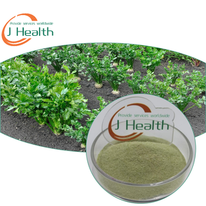 도매 대량 유기농 천연 아시타바 잎 분말 안젤리카 케이스케이 분말 - Product Image 1