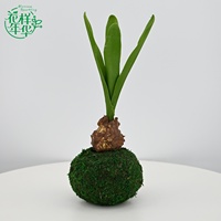 Fleur artificielle réaliste en forme de bulbe de jacinthe marron rustique de 25 cm pour jardin, patio, hall d'entrée, arrangement de table, décoration de café