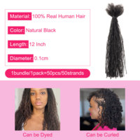 Extensions de dreadlocks naturelles en cheveux humains, micro-locs de 0,1 cm, vente en gros directe d'usine