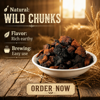 Champignons Chaga Sauvages Naturels, Morceaux de Chaga de Bouleau, Inonotus Obliquus, Champignons Séchés pour Boissons à Base de Plantes, Thé, Matière Première, Vente en Gros en Vrac