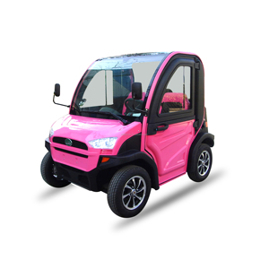 Voiture électrique miniature Everbright 2 places, <span class=keywords><strong>scooter</strong></span> à 4 roues avec moteur 3000W, batterie 30kWh, autonomie <100km, véhicule à énergie nouvelle - Product Image 1