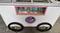 Chariot mobile personnalisé pour glaces et bâtonnets, chariot commercial réfrigéré pour la présentation de gelato, chariot de vente alimentaire avec auvent lumineux et évier