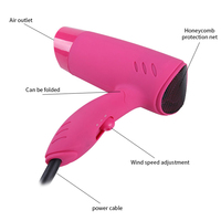 Mini sèche-cheveux professionnel, batterie de voiture 12v, sèche-cheveux