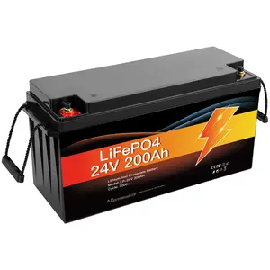 Avepower Solar Battery Storage Units Lithium Ion Battery 24V LiFePO4 Battery 200Ah Energy Storage For Home