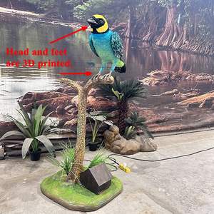 Afrika kuşları-sergi için özelleştirilmiş Animatronic safran-crowned tanbird kuş - Product Image 5