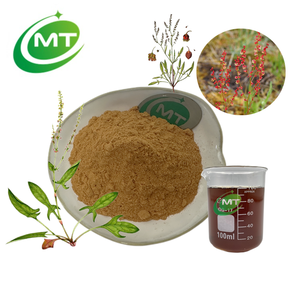 Free Sample for Testing Best Quality Natural Sheep <strong>Sorrel</strong> Extract / <strong>Rumex</strong> Acetosella Extract - Product Image 1