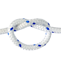 Corde d'amarrage marine en nylon tressé double durable de 10 m et 7,5 mm de diamètre, couleur personnalisée, pour accessoires de yacht et usage en marina