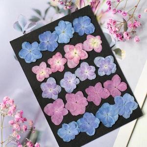 Fiori di Ortensia Naturali Essiccati a Doppio Petalo per Creazioni Fai-da-Te, Custodie per Telefoni in Resina Epossidica e Forniture per Gioielli in Resina - Product Image 1