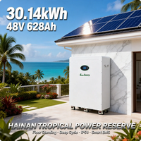 Baterai Surya 48V 628Ah 30kWh untuk Sistem Panel Surya Tipe Berdiri Lantai dengan Roda