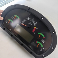 Monitor de Control RUIPEI 311-0038 para Excavadora - Nuevo Original/OEM con 6 Meses de Garantía