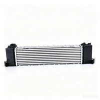 مبرد بيني قياسي OEM 17517600530 96552 BW4464 818259 IATF 16949 يناسب سيارات BMW الفئة 1 و2 و3 و4 F20 F30 بديل