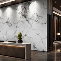Panneau de rénovation WYRAX en PVC effet marbre UV gris clair Carrara 1220x2440mm 3.0mm pour couloir d'appartement, facile à nettoyer
