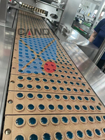 Machine à fabriquer des bonbons gélifiés, ligne de production de bonbons à la gelée