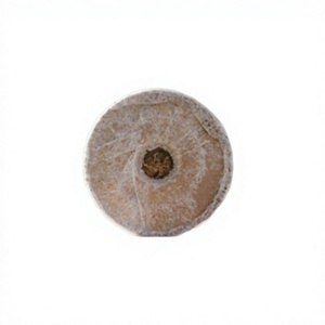 Granulés de coco en fibres de noix de coco : le meilleur ami de vos plantes |   Granulés de coco durables du Vietnam, légers |   Début de la germination - Product Image 1