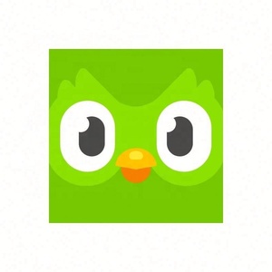 Cuenta Global de Duolingo, Duolingo Premium, Duolingo Super, 1 Año, 1, 3, 6, 12 Meses, Vincula tu Cuenta - Product Image 3