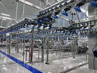 Machine d'abattoir de volaille à haute productivité clé en main avec roulement moteur pour abattoir de poulet halal garantie 1 an