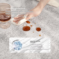 Tapis italien minimaliste tissé à la machine pour salon, nouveau tapis moderne simple, luxe léger, haut de gamme, imperméable et résistant aux taches pour la maison