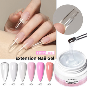 Nuevo Set de Gel para Extensión de Uñas, Kit de Manicura con Esmalte de Gel UV LED Removible, Ideal para Principiantes, para Salón de Uñas, Venta al por Mayor, Suministro Transfronterizo - Product Image 2