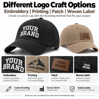 Casquette de baseball personnalisée brodée, effet délavé, OEM, marque privée, casquette ajustable à visière incurvée, logo personnalisé, fournisseur en gros