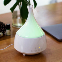 Diffuseur d'huiles essentielles professionnel pour la maison, 300 ml, 16 lumières changeantes de couleur, minuterie intelligente, bouton tactile, brume fraîche