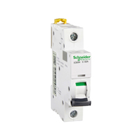 Disjoncteur miniature Schneider IC65N 2P C25A A9F18225 1P 3P 4P 400V AC 50Hz 6kA pour distribution électrique