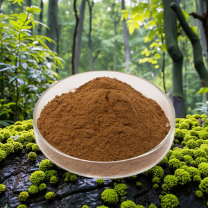 Extrait de Yucca en Poudre de Qualité Alimentaire à Bas Prix, Additif Alimentaire à Base de Plantes, Extrait Herbal par Extraction par Solvant, Conditionné en Bouteille ou en Bidon - <span class=keywords><strong>Wellgreen</strong></span> - Product Image 6