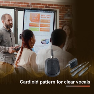 ไมโครโฟนแบบติดตั้งบนพื้นผิวจากโรงงานโดยตรง ปรับช่วงความถี่ได้ ปราศจากเสียงรบกวน - Product Image 6