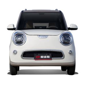 Nuevo Modelo de Auto Eléctrico de 4 Ruedas para Adultos, Vehículo Chino de Nueva Energía FSL L-19 3000W 6000W - Product Image 1