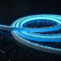 Ruban LED néon flexible 220V AC, étanche IP68, rouleau de 50M/100M, éclairage extérieur pour façade de bâtiment, éclairage personnalisé pour projets