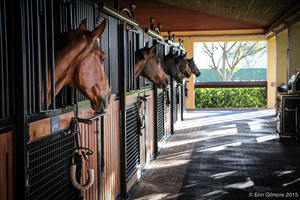 Équipement de grange à chevaux, granges à chevaux amovibles, grange à chevaux avec gouttière - Product Image 4