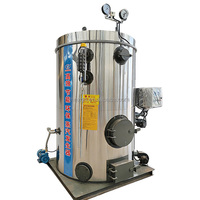 Nouveau générateur de vapeur basse pression industriel de 200 kg, 300 kg, 500 kg à biomasse de bois pour les écoles des Philippines