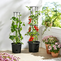 Supports de plantes grimpantes auto-arrosants, anneaux de support de jardin, jardinière avec treillis, tour de culture pour tomates