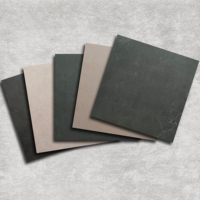 Campagne moderne 60x60 Carreaux antiques mats antidérapants de haute qualité gris ciment Style industriel pour accents de chambre antibactérien